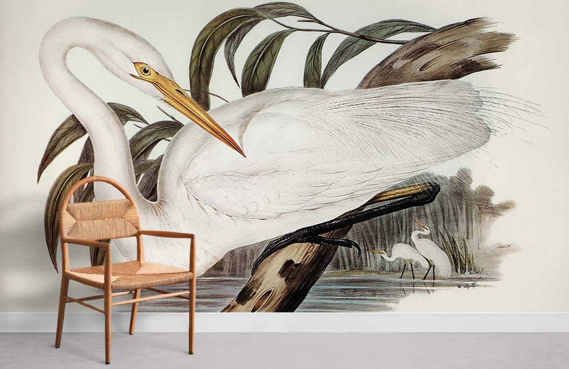 Australian Egret Animal Bird Walpaper Mural Room