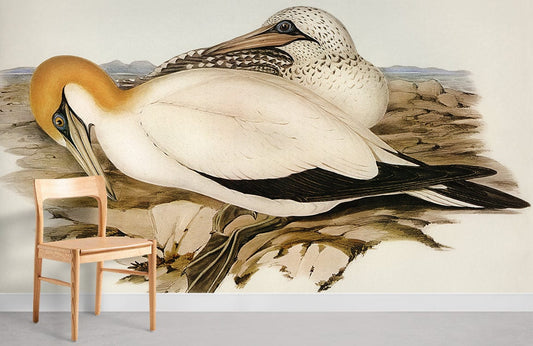 Elegant Gannet Bird Vintage Mural Wallpaper