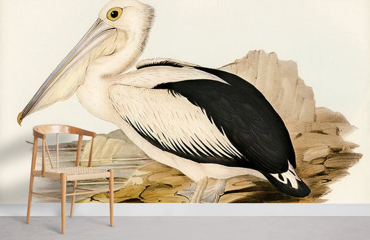 Vintage Pelican Nature Illustration Mural Wallpaper