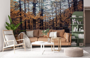 Autumn Forest Road Scenic Wallpaper Mural