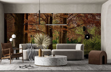 Autumn Forest Scenic Landscape Mural Wallpaper