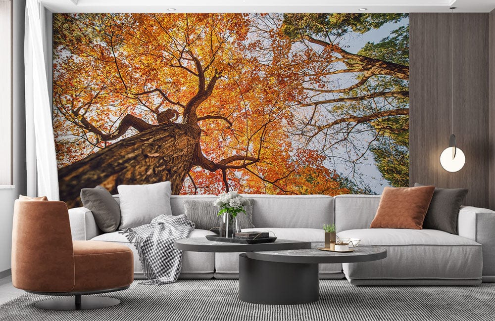 autumn forest maple sky wall mural living room decoration idea