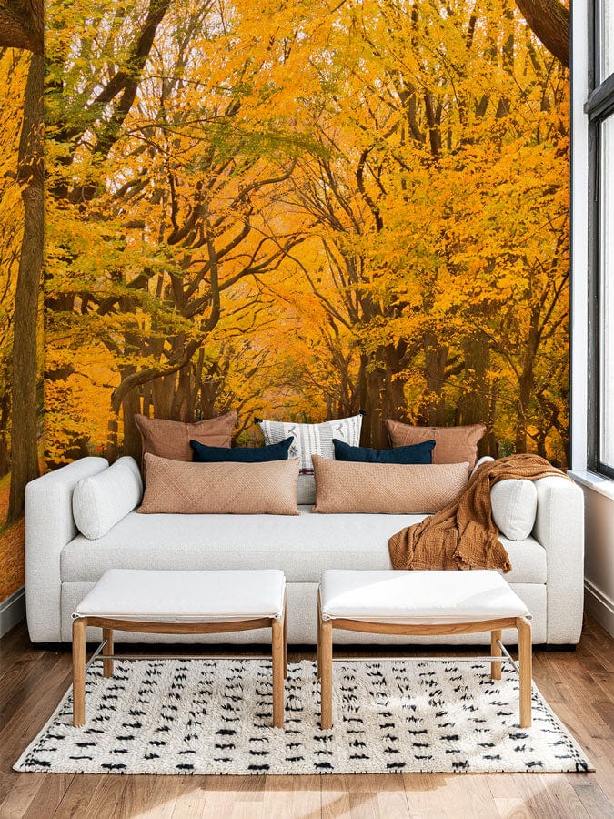 Fall Colors Path Landscape Wall Mural Wallpaper for Home Interior Design