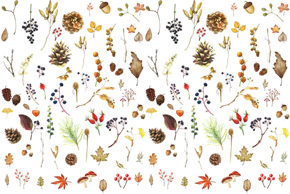 Autumnal Botanical Watercolor Mural Wallpaper
