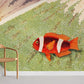 Barrier Reef Anemones Fish Wall Mural Room