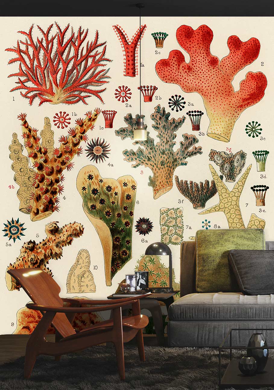 Coral World Painting Wall Mural Art Living Room