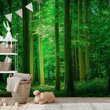 Beam in Emerald Forest Wallpaper Mural for Entryway and Hallway Decorations