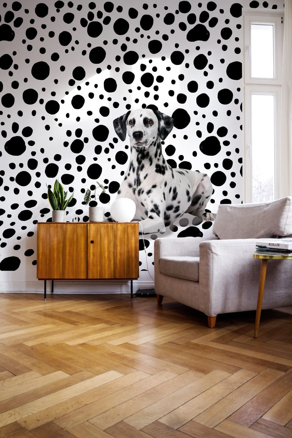 Wall murals for hallways with spotted backgrounds keep the spotted dog perfectly stationary.