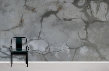 Modern Grey Wet Concrete Textured Mural Wallpaper