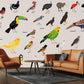 Birds Encyclopedia collection animal Wall Mural for living Room