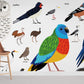 Birds Encyclopedia Animal Wall Mural for Room decor