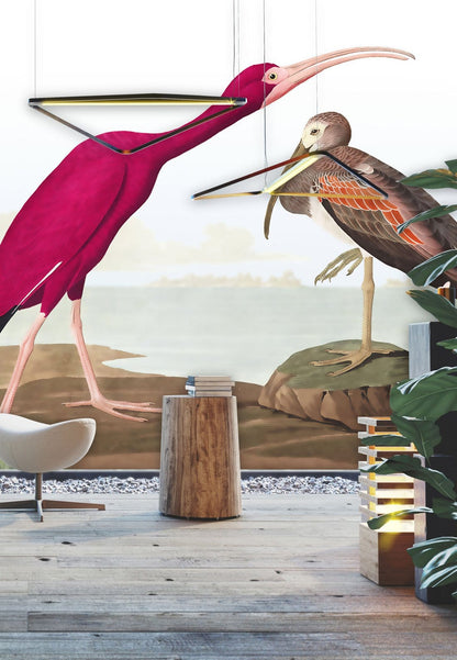 Vintage Bird Illustration Art Wall Mural in lounge