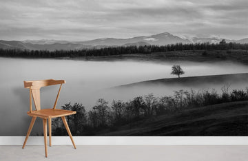 Misty Monochrome Landscape Mural Wallpaper