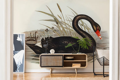 Elegant Black Swan Lake Mural Wallpaper in living room
