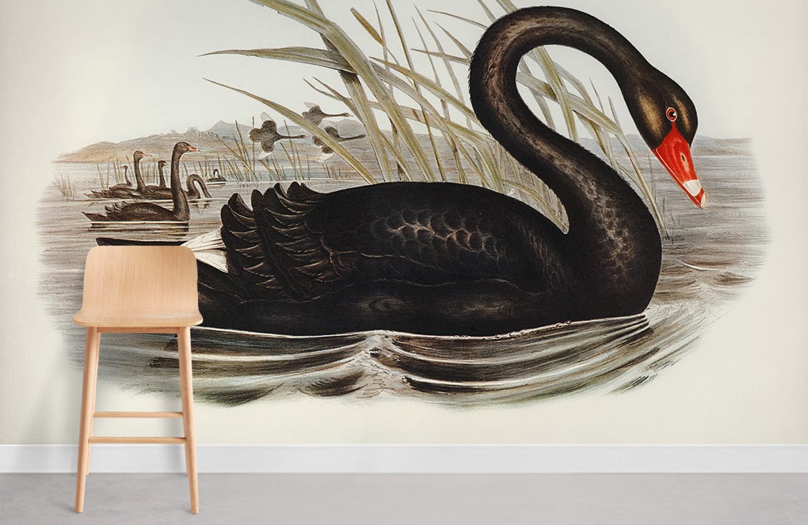 Elegant Black Swan Lake Mural Wallpaper