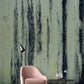 Destroyed Blackened Green Paint Wall Mural Design
