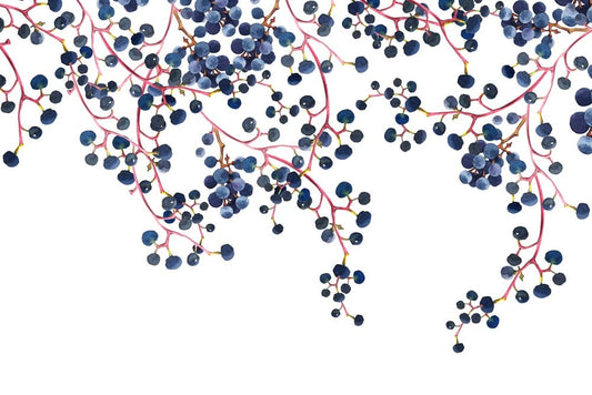 blue berry fruit wallpaper mural for room decor