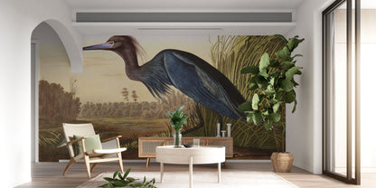 Vintage Audubon Bird Illustration Mural Wallpaper in living room