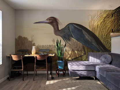 Vintage Audubon Bird Illustration Mural Wallpaper in Living room