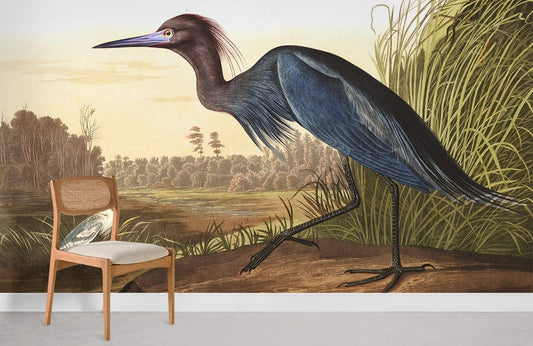 Vintage Audubon Bird Illustration Mural Wallpaper