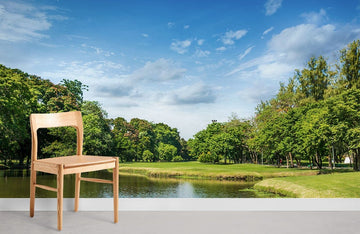 Serene Park Landscape Scenic Mural Wallpaper