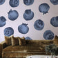 Fresh Blueberries Mural Wallpaper for living Room decor