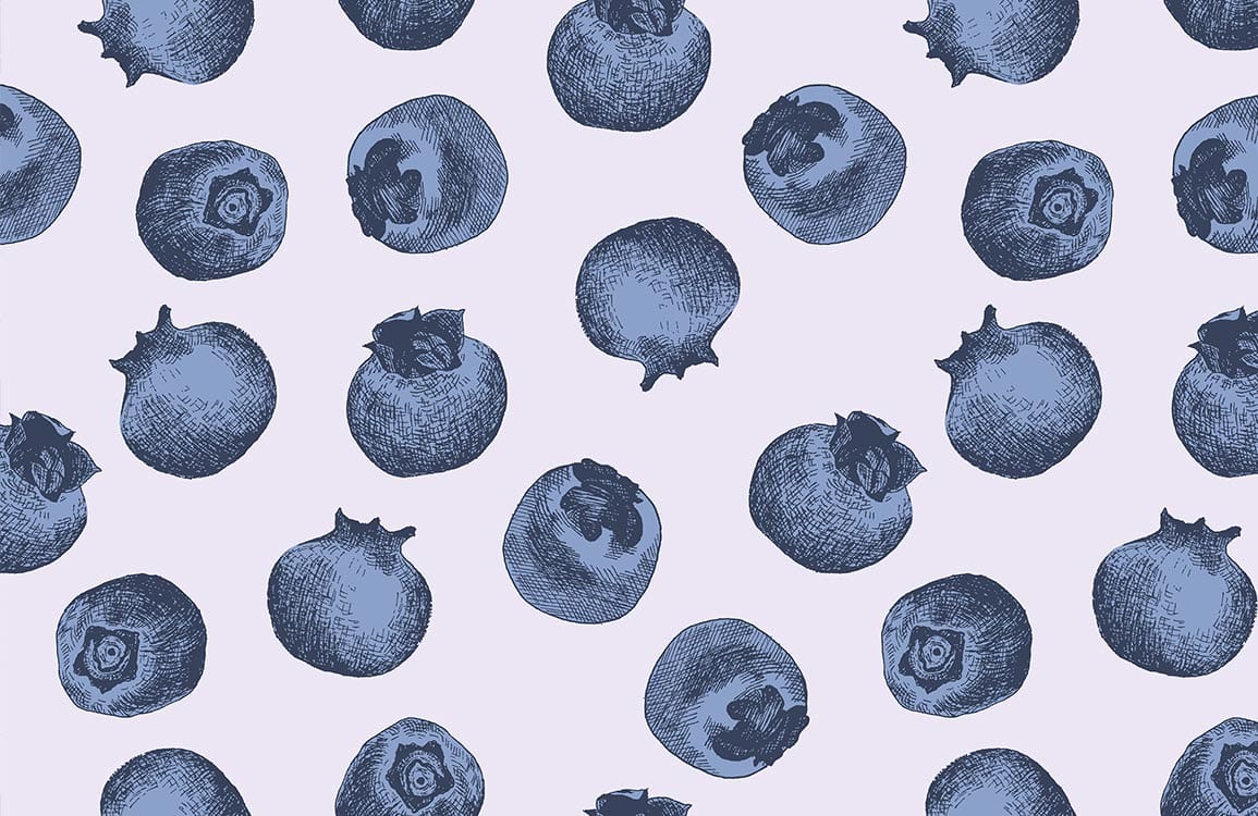 Fruit series Blueberries Mural Wallpaper Plain