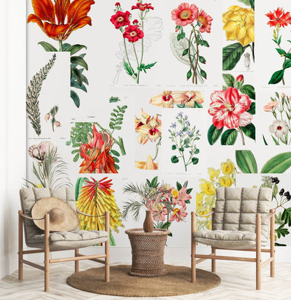 Flower Wallpaper Mural with Botany Design for Hallway Decoration