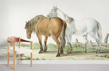 Carta da parati murale con schizzo di cavallo rustico pastorale