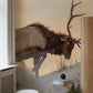Bull Elk on Snow Animal Wallpaper Design