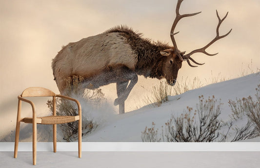 Bull Elk on Snow Animal Wall Mural For Room