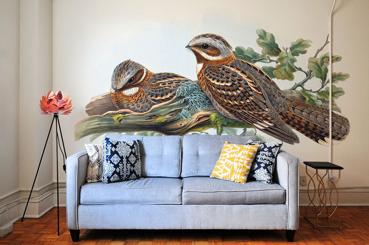 Vintage Bird Botanical Illustration Mural Wallpaper in living room