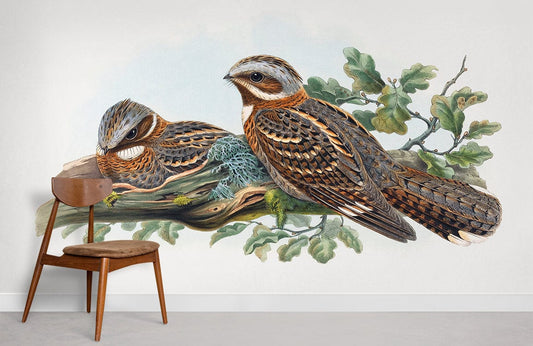 Vintage Bird Botanical Illustration Mural Wallpaper