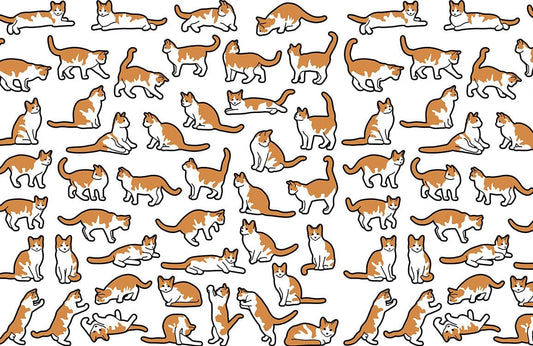 Playful Orange Cat Pattern Mural Wallpaper