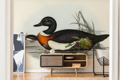 Vintage Watercolor Duck Scenic Mural Wallpaper in living room