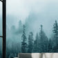 Chilling Wall Mural of a Misty Forest, Perfect for Decorating the Living Room