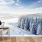 Wallpaper mural for home decoration featuring a clear sky after a snowfall.