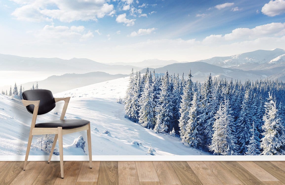 Wallpaper mural for home decoration featuring a clear sky after a snowfall.