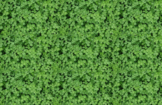 Living Room Wallpaper Mural Featuring Clover Plants