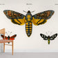 Colorful Moths Wall Mural For Room