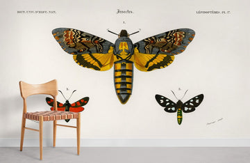 Vintage Illustrated Insect Mural Wallpaper