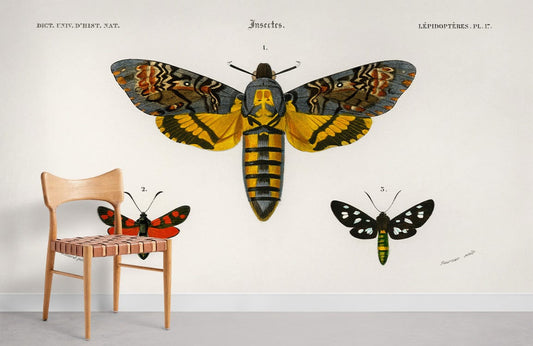 Colorful Moths Wall Mural For Room