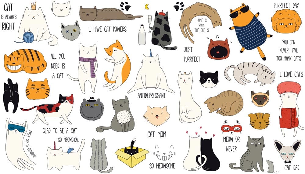 Verspielte Katzenillustration Tapete Mural