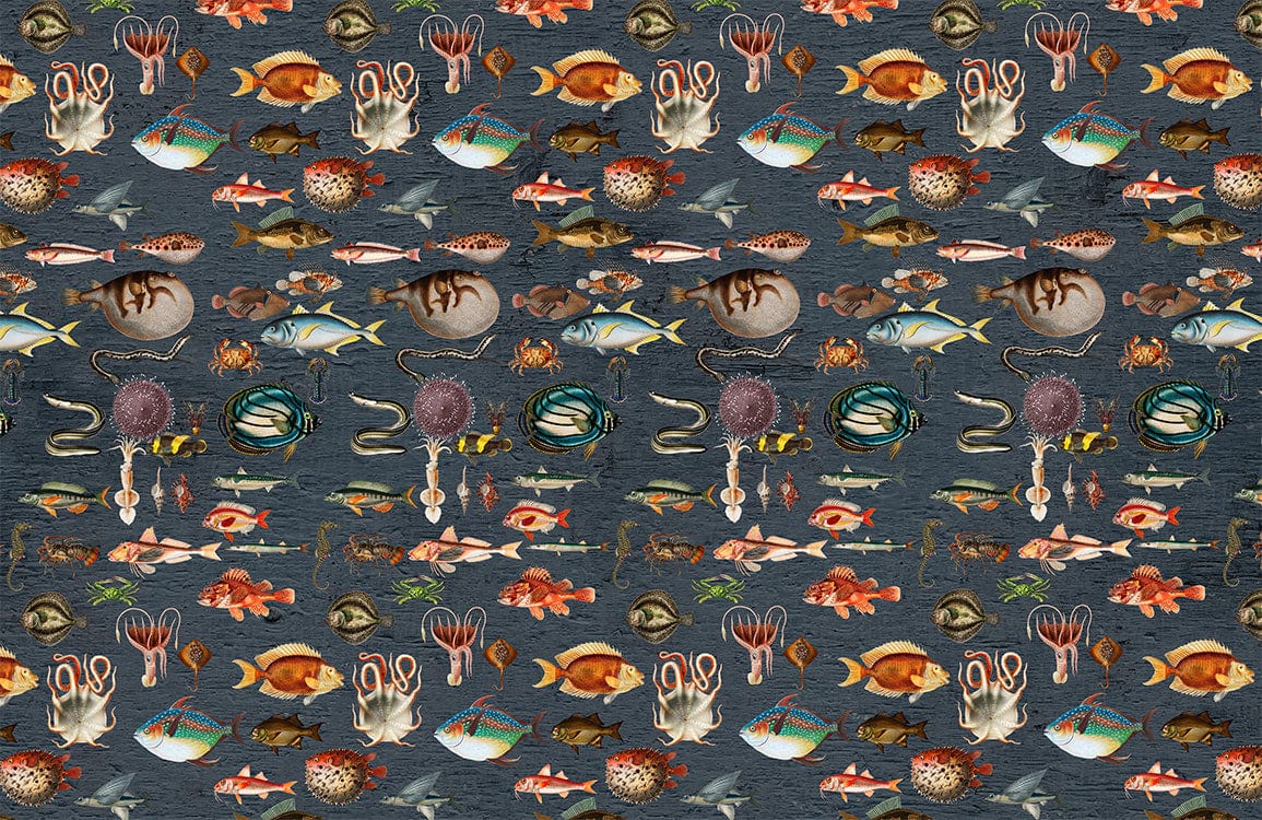 colorful fish pattern wallpaper mural