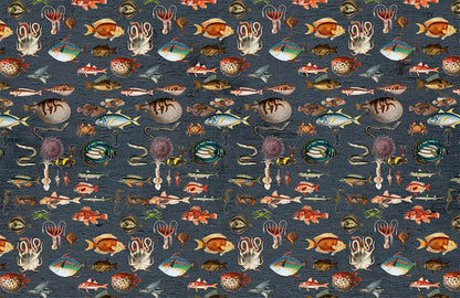 colorful fish pattern wallpaper mural