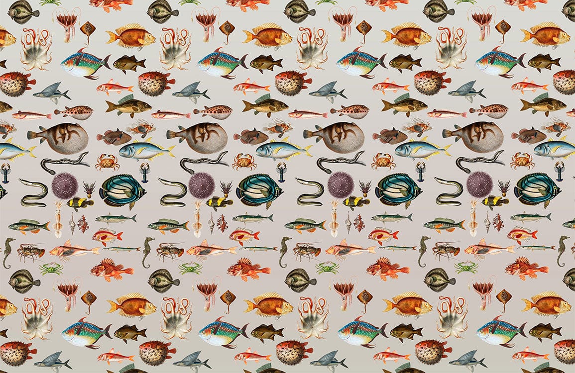 Papier Peint Panoramique Créatures Marines Colorées