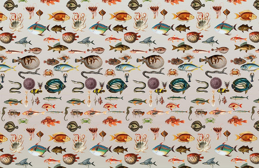 different marine creatures fish wallpaper mural