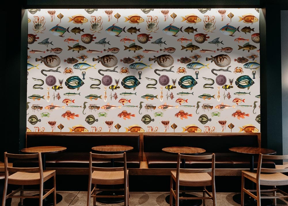 amazing marine creatures restaurant fish wallpaper mural