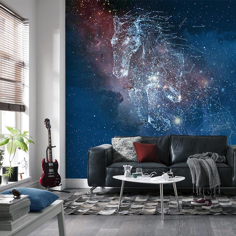 Cool Pegasus wallpaper mural custom design art