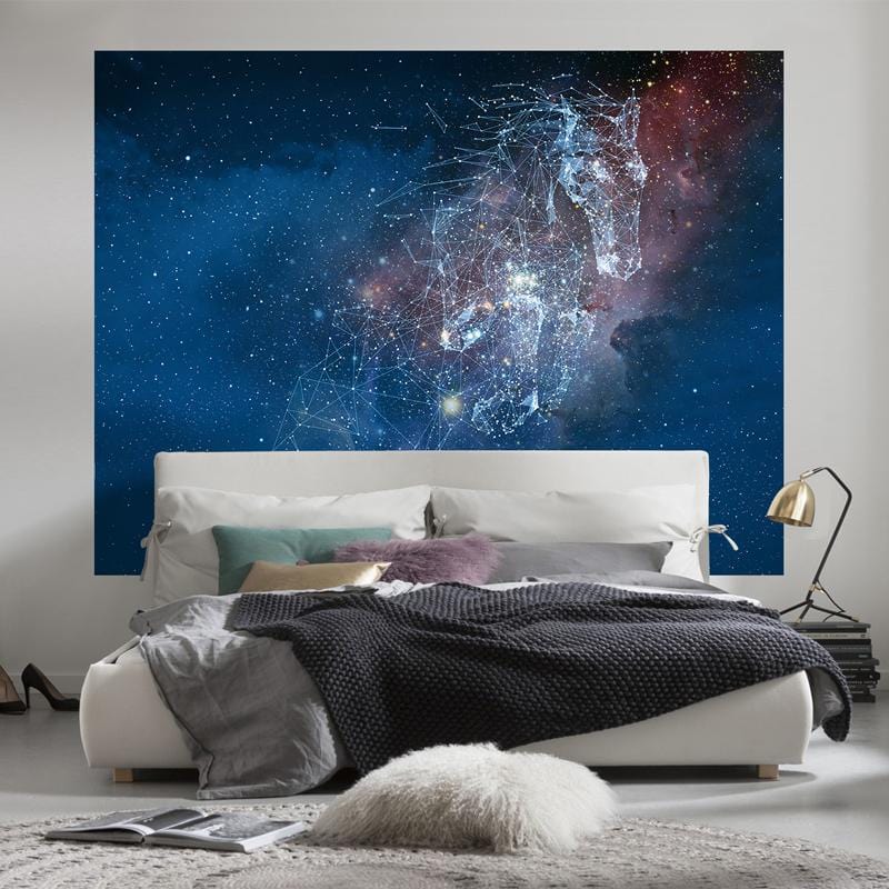 Cool Pegasus space and galaxy mural decoration idea